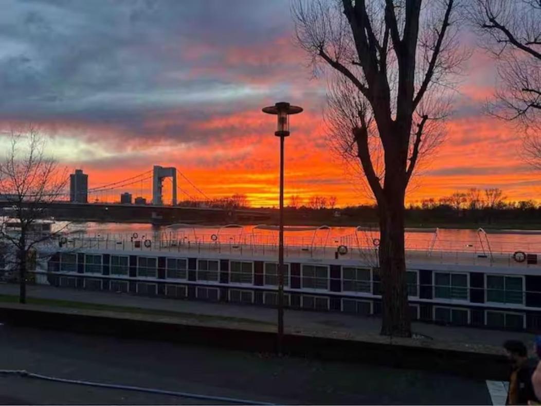 Zimmer In Koeln Buitenkant foto
